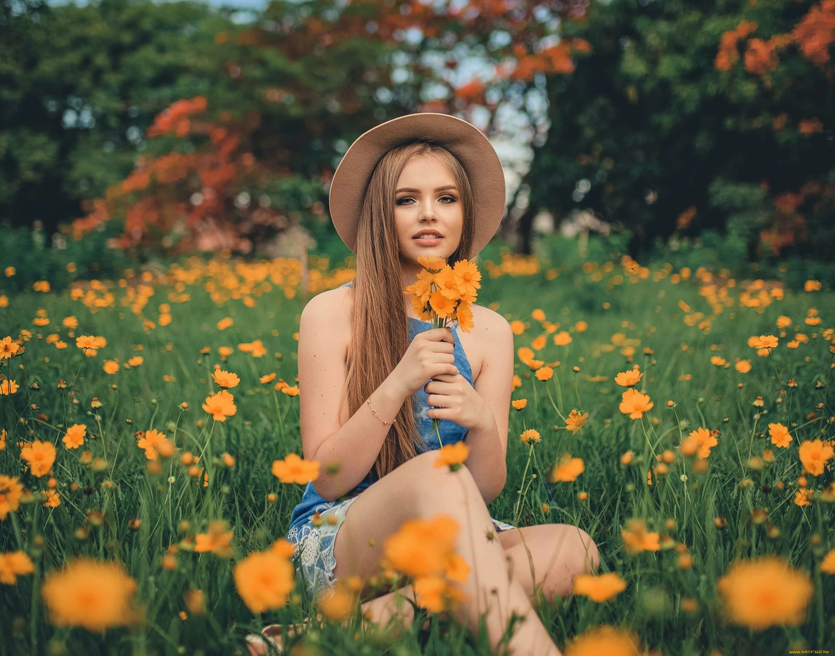, - ,  , 
